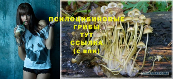 прущий лед Верея